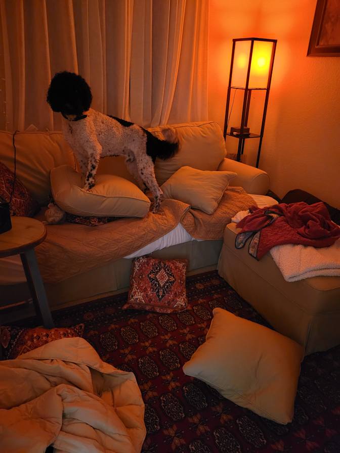 Elizabeth's room