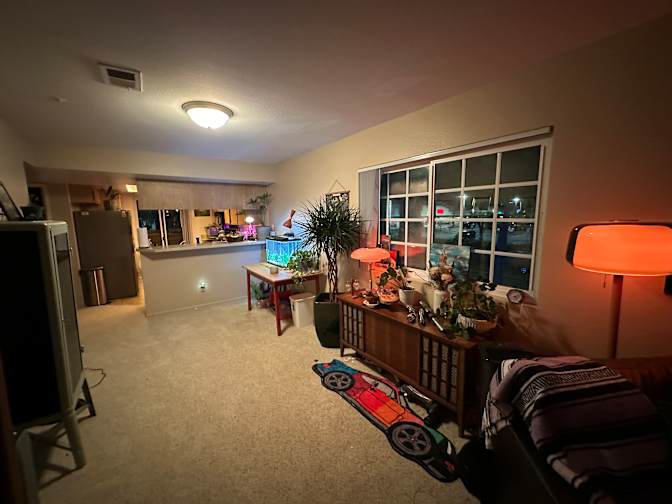 Dawson's room