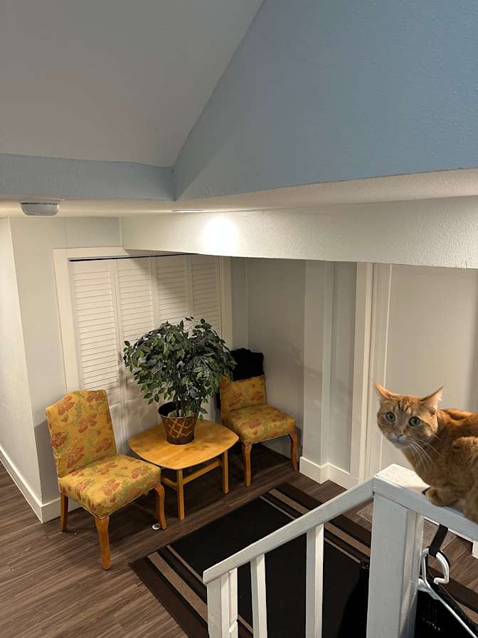 bibi's room