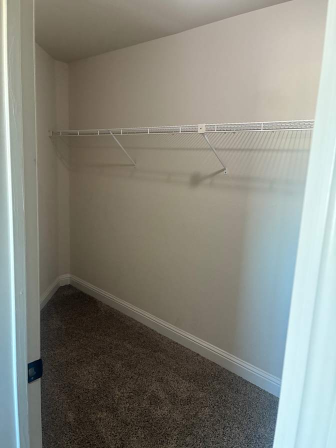Renee's room