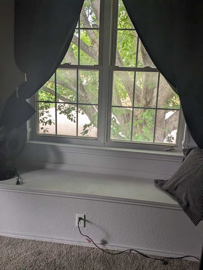 Susan Lee Shaffer's room