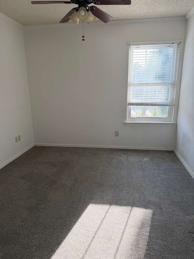 Katy's room