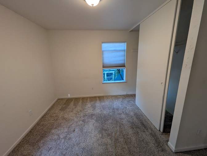 Tara's room