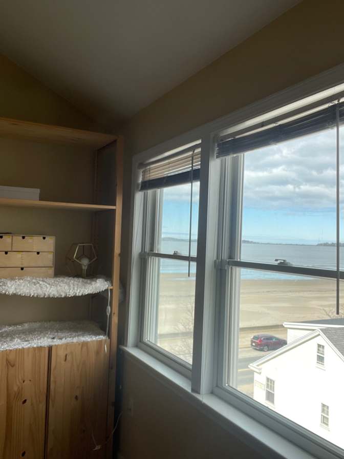 Anthony's room