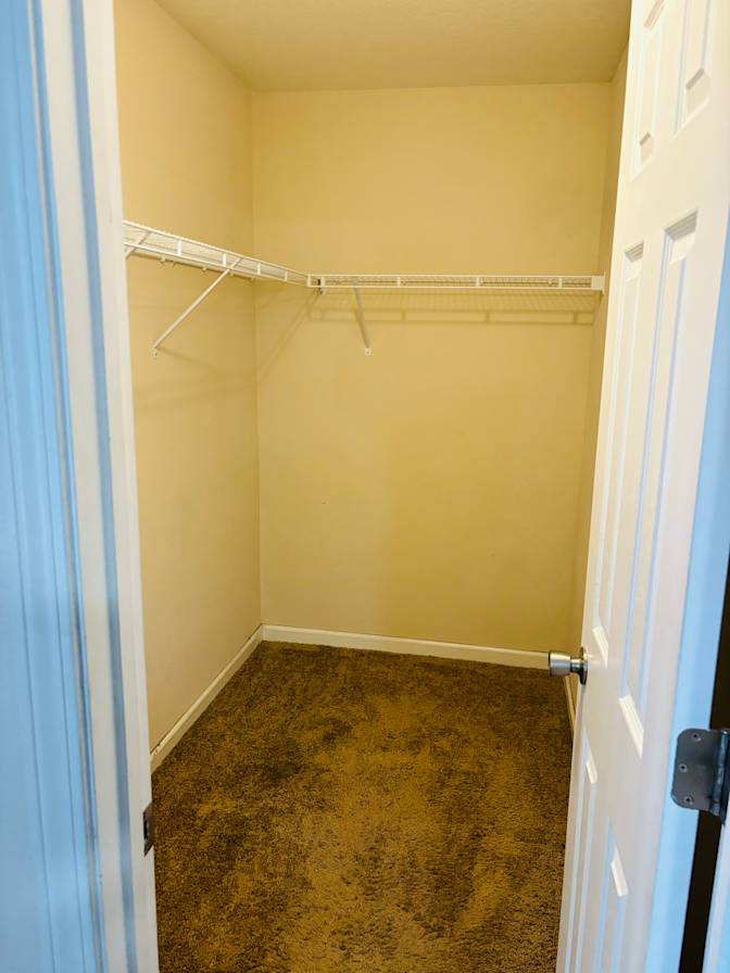 Serendipity's room
