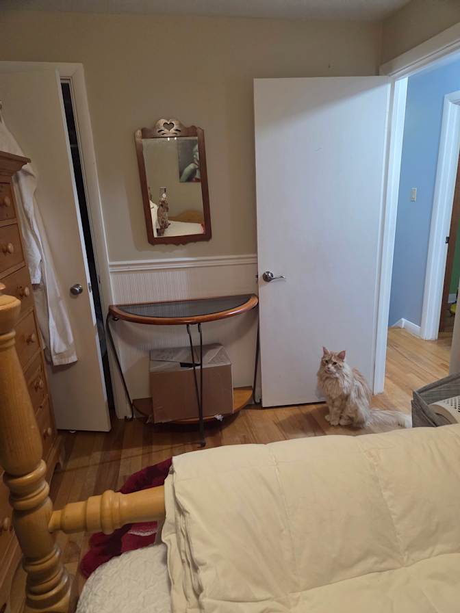 Mary-Sue Hart's room