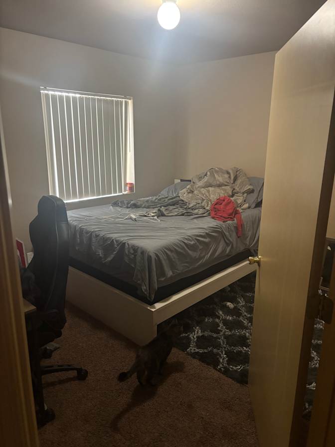 Katy's room