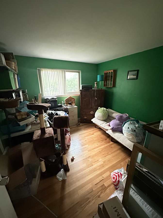 Hannah's room