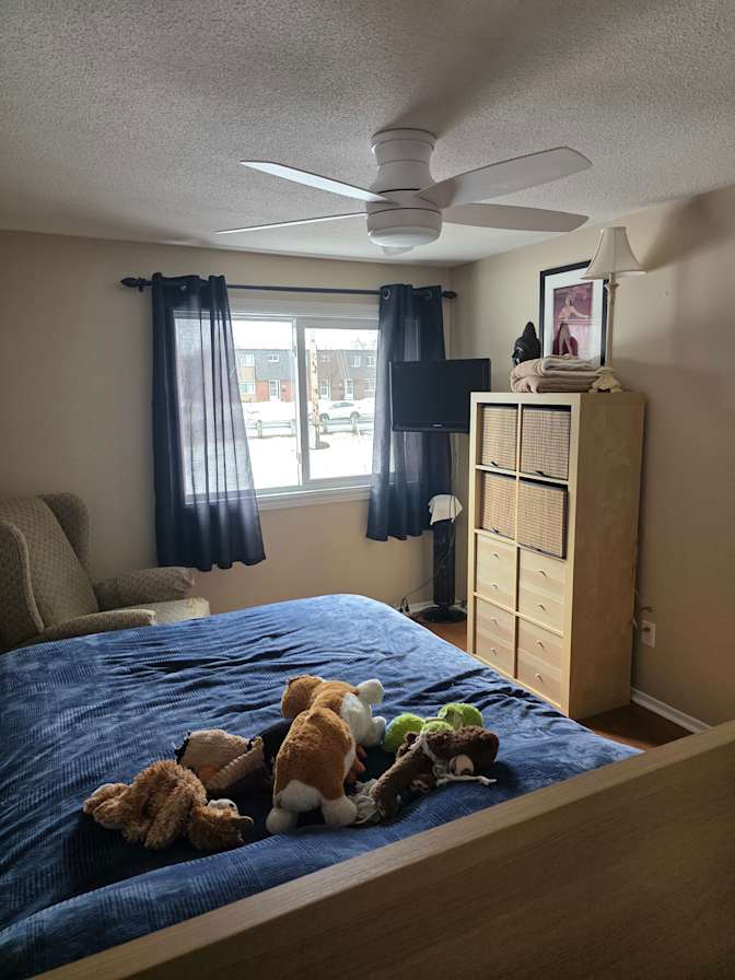 Paul or Xander's room