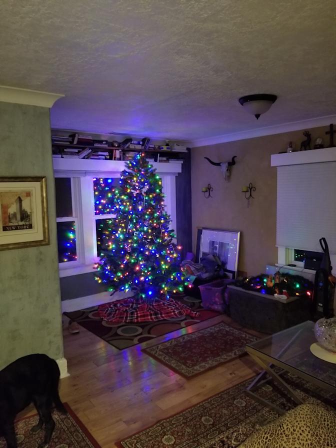 James Anthony's room