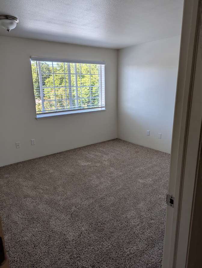 Shea's room