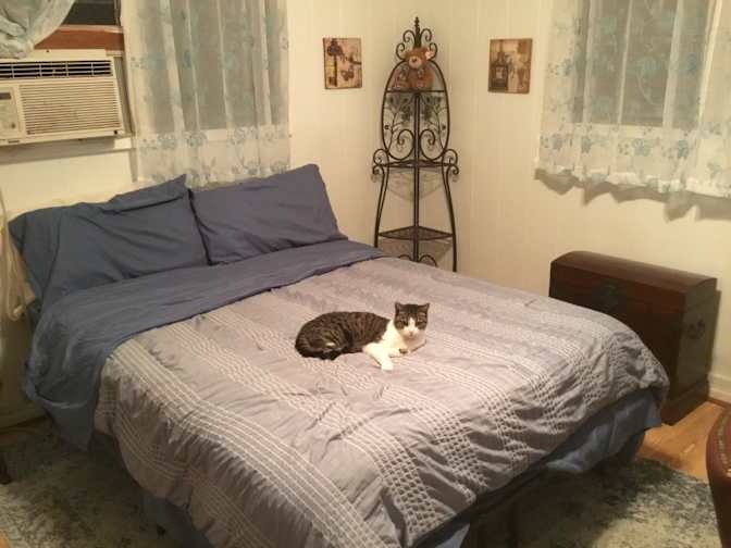 Karla's room