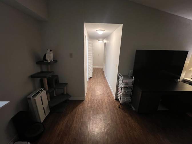 Claire's room