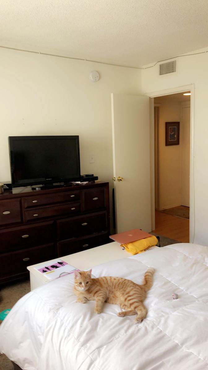 Claudia carcoba's room