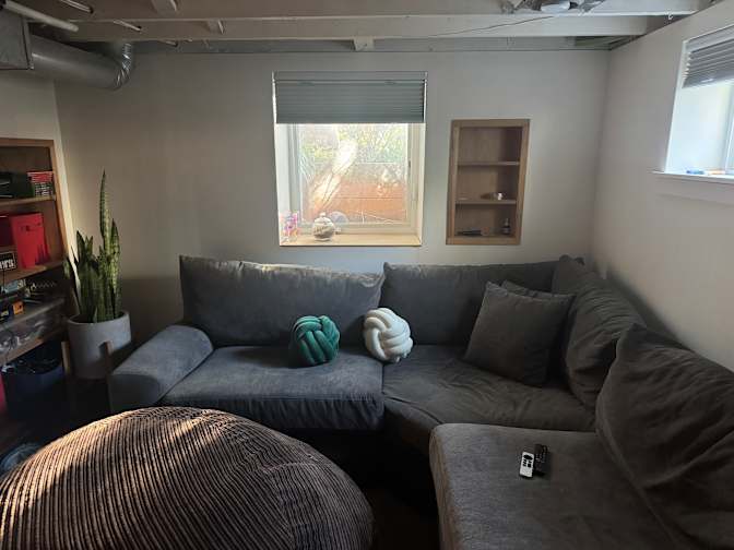Cat's room