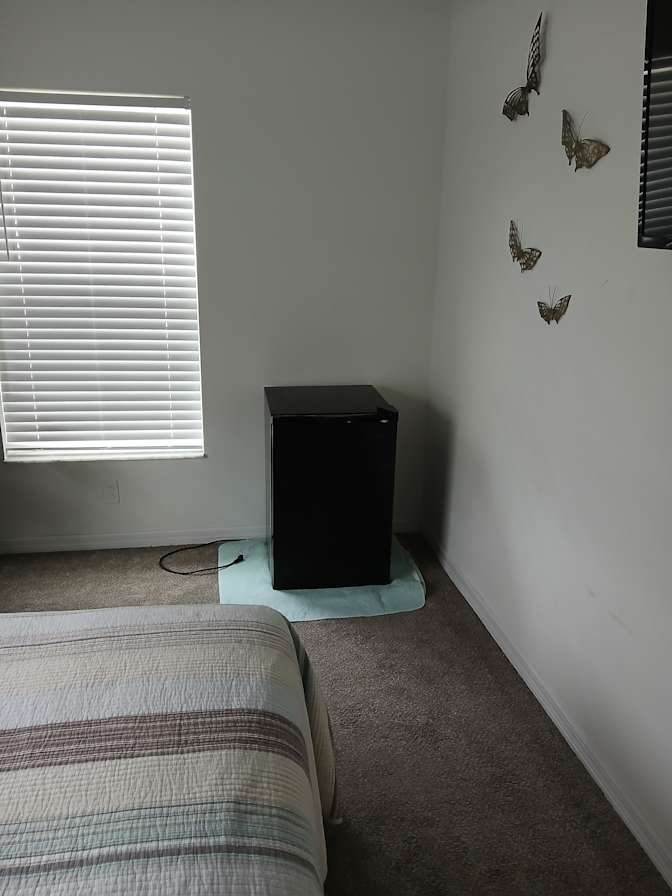 Brenda's room