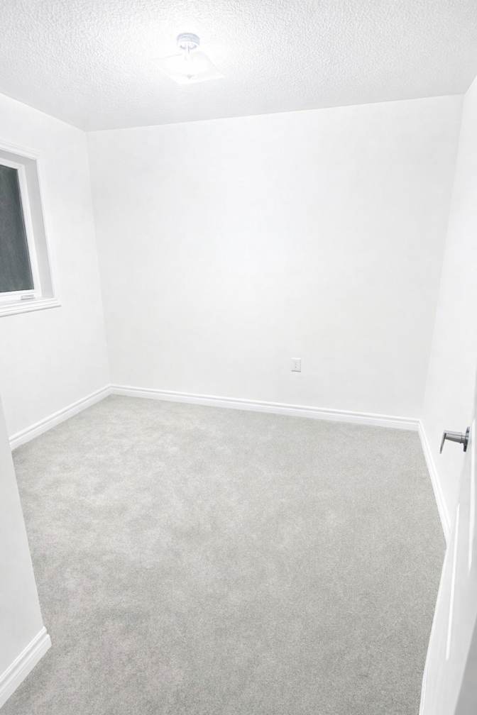 Nirmz's room