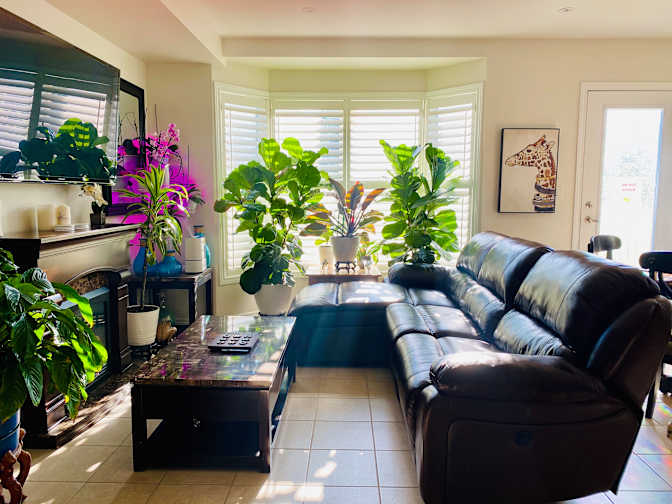 Stephen's room