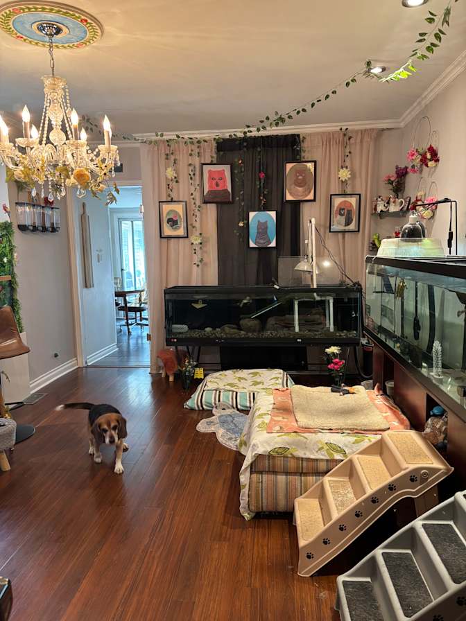 Solange's room