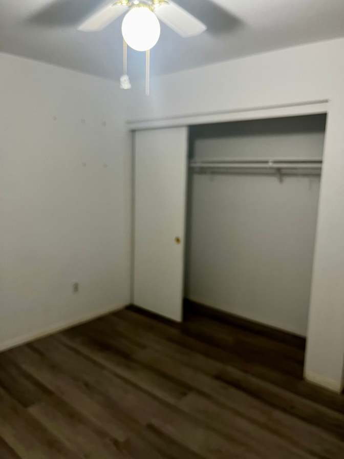 Sofia's room