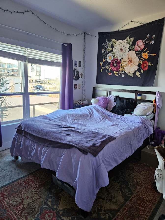 Bradley's room