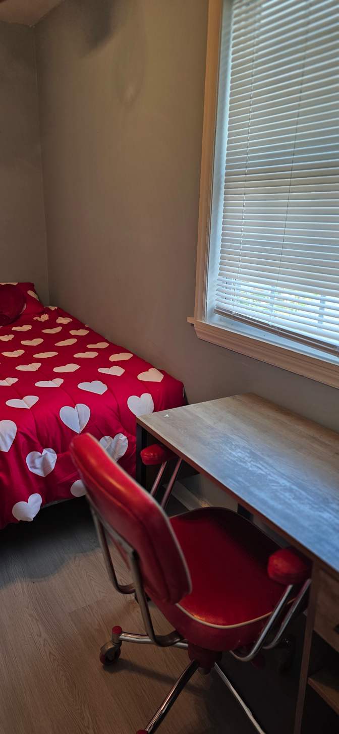 Mohammad's room