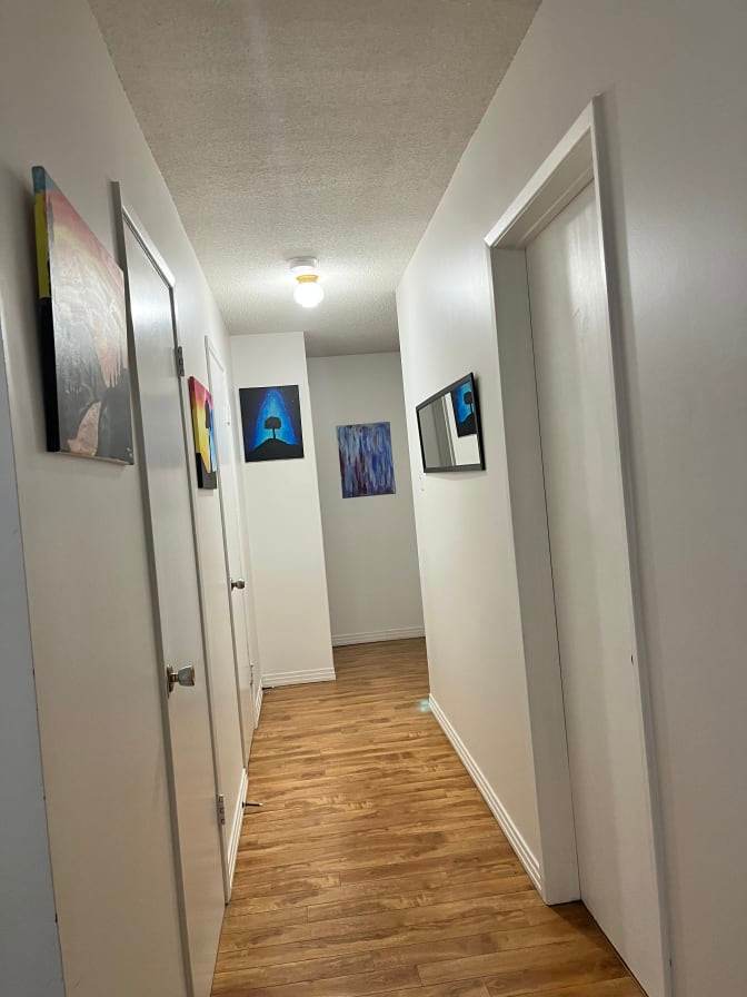 The Roommates's room