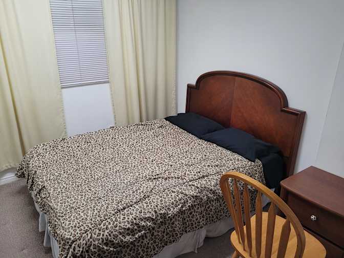 patricia's room