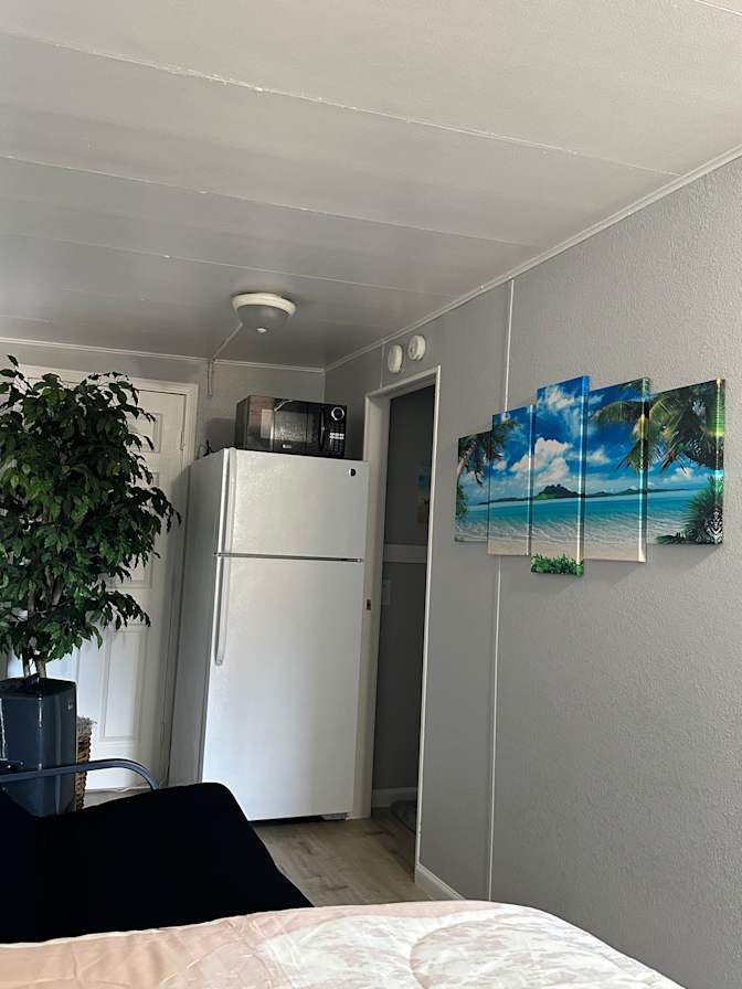 Dave Gutierrez's room
