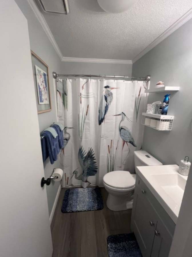 Alisa's room