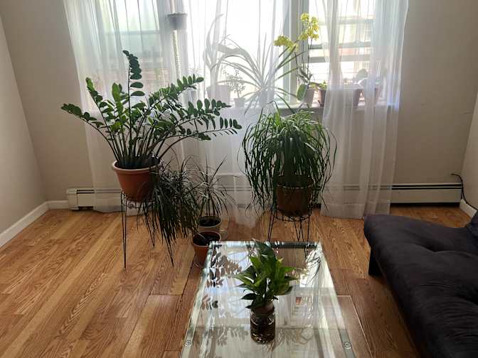 Jean H.'s room