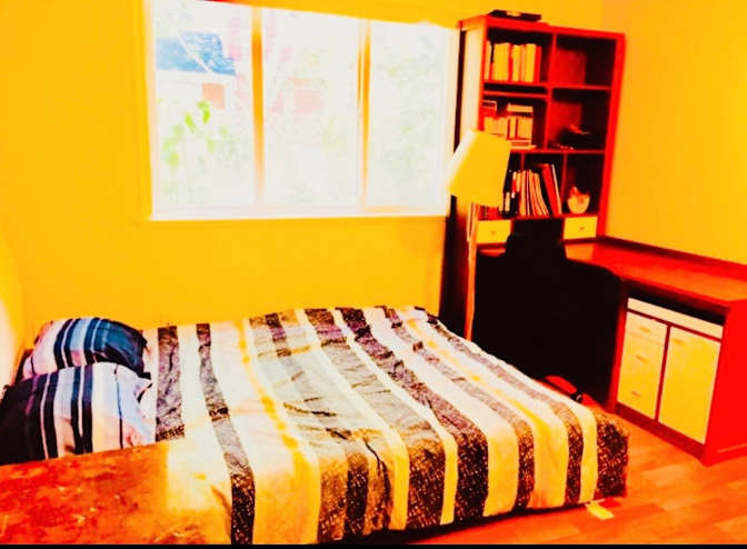 Sophia's room