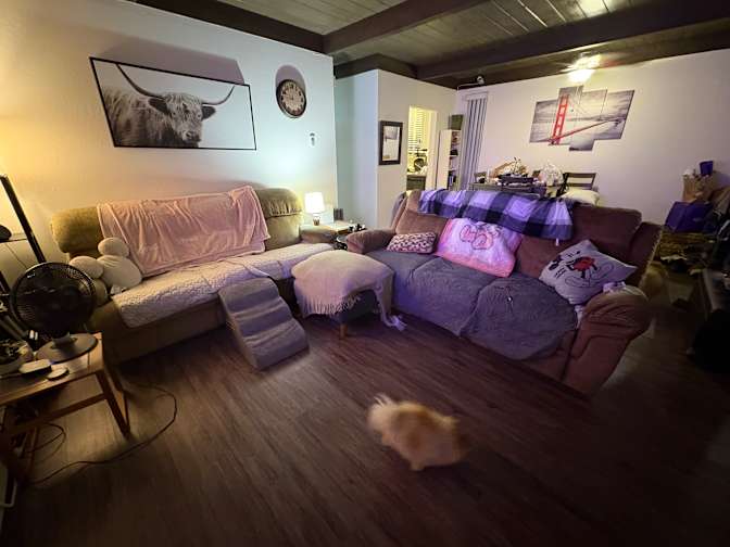 Liz's room