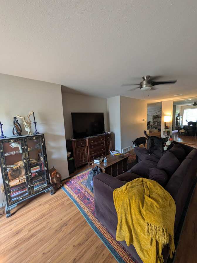Andrew's room