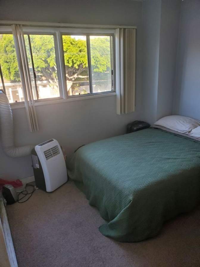 Lungile Excelent's room
