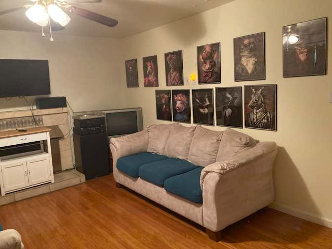 Dino's room