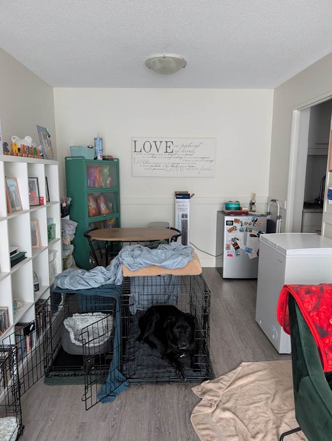 Shaz's room