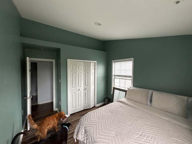 Dani's room