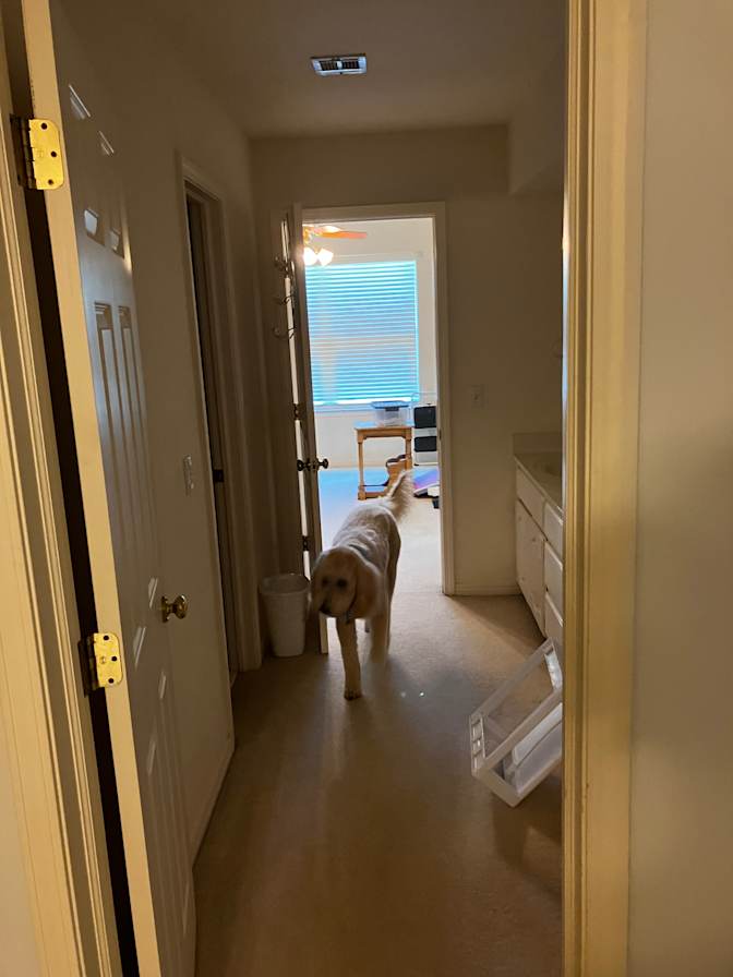 Thomas Rappsilber's room
