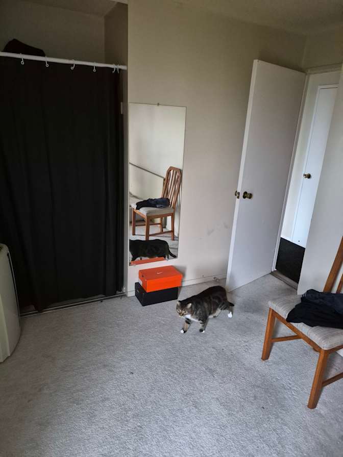Julia's room