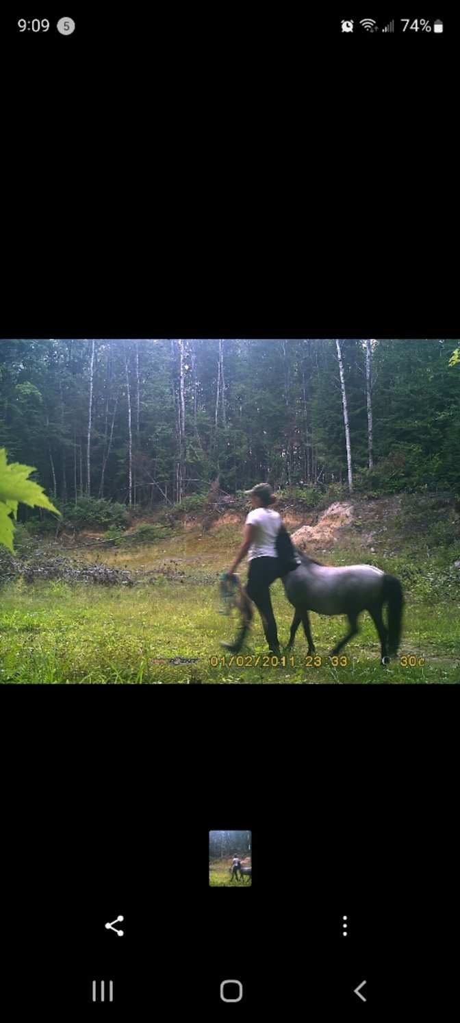 Rachel Sciommarella's room