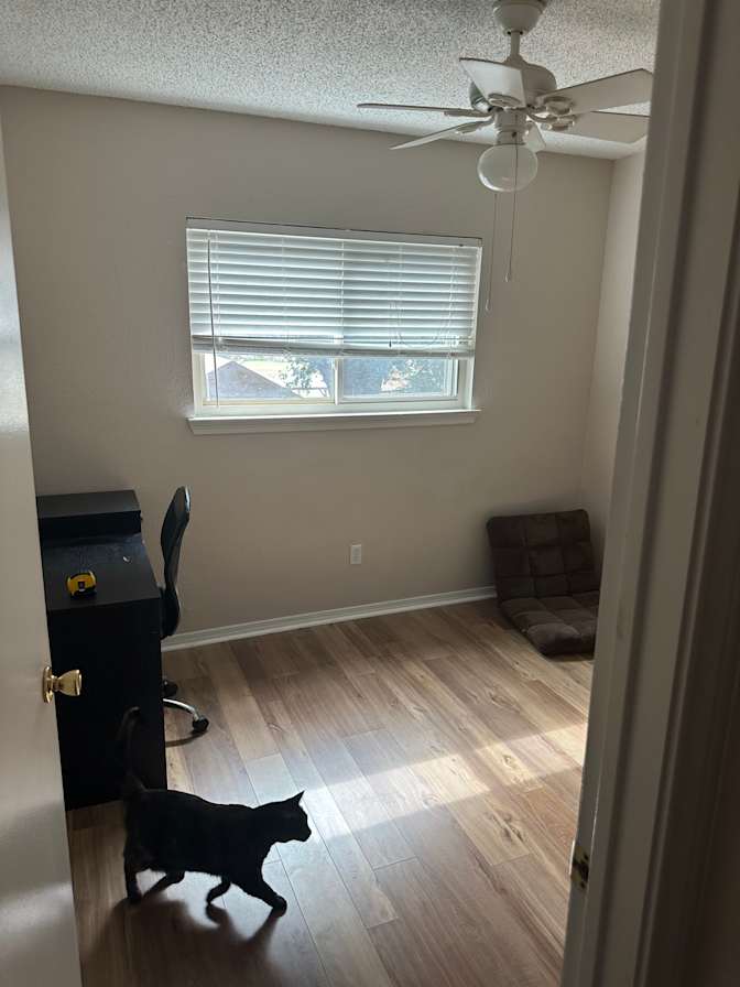 Jackson's room