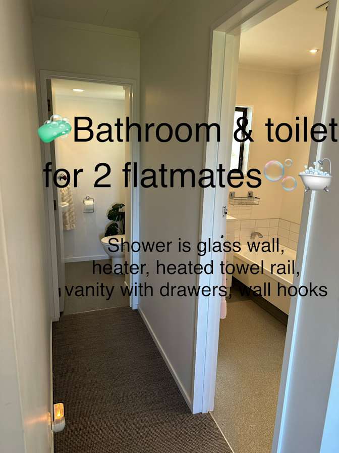 Owner's room