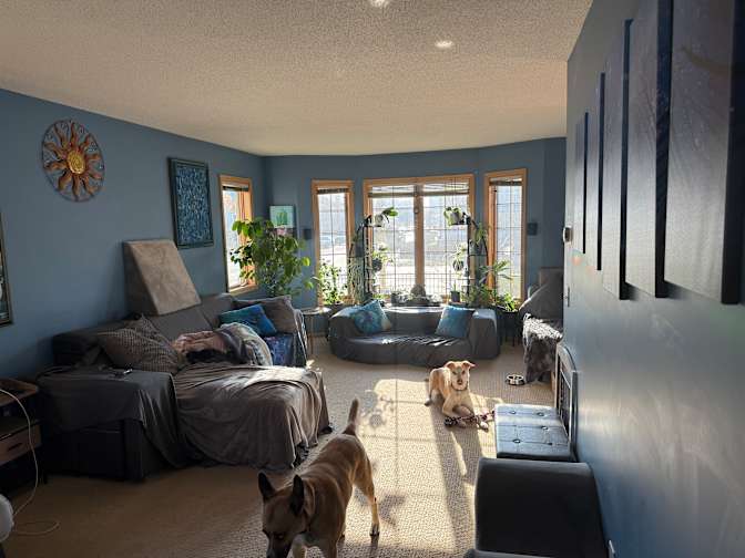 LouisLoup's room