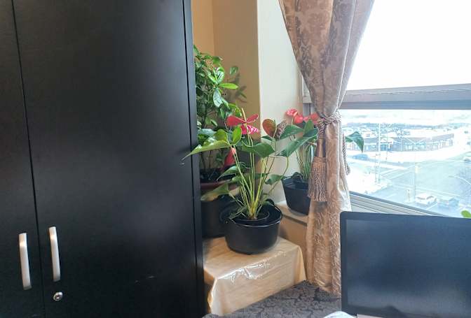 SALVADOR S's room