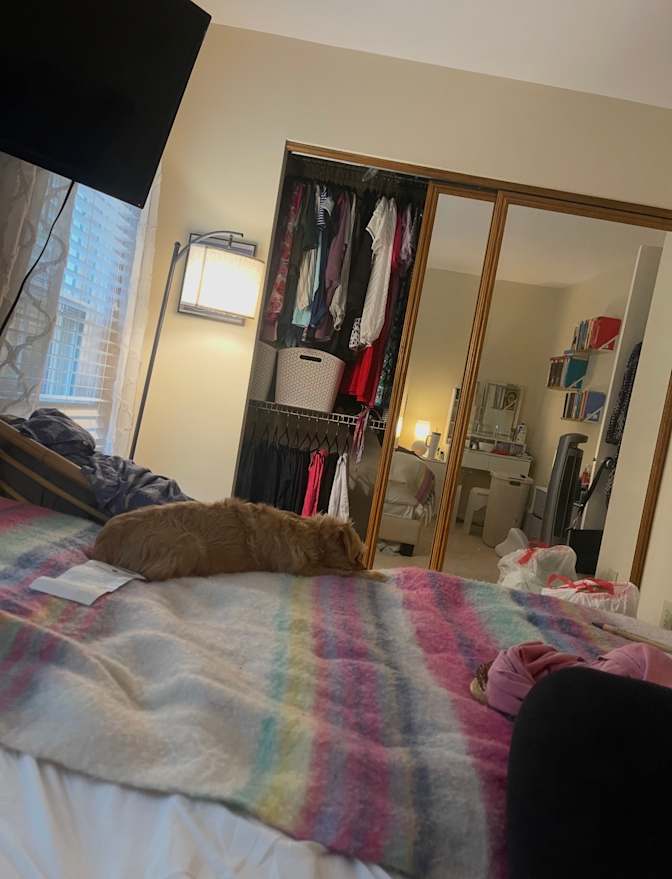 Kamilah M's room
