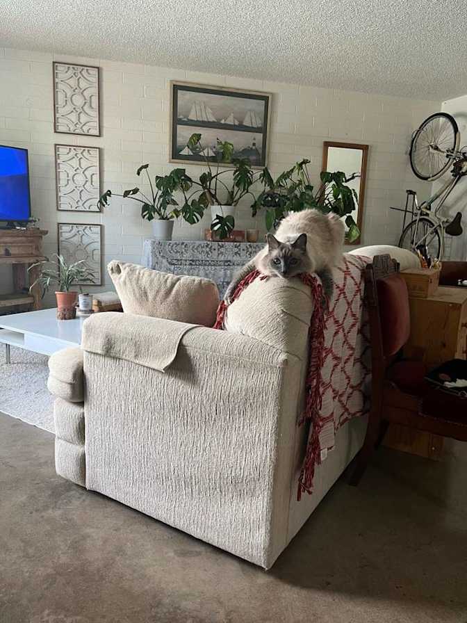 Room For Rent's room