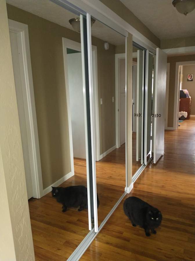 Carol's room