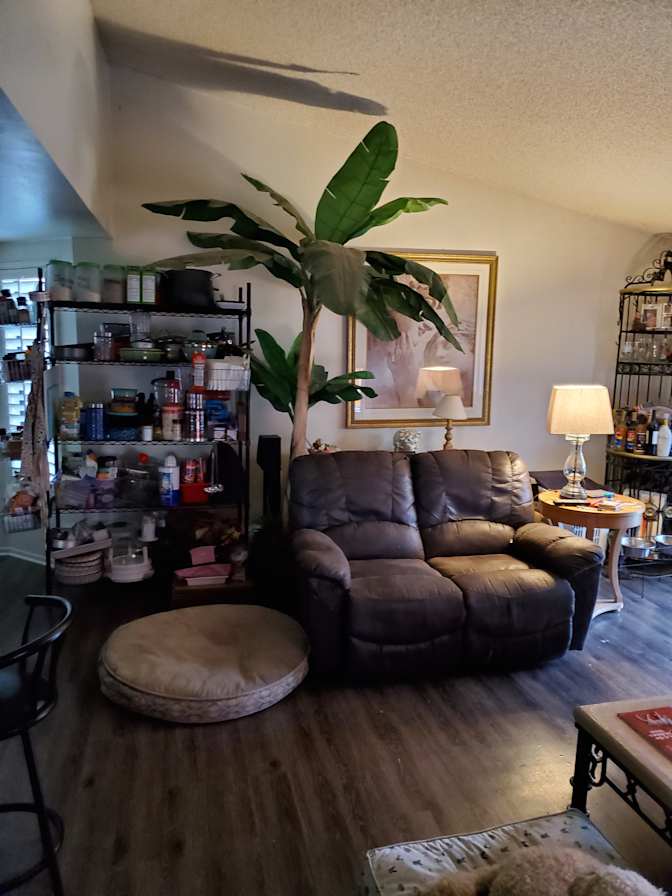 Paula's room