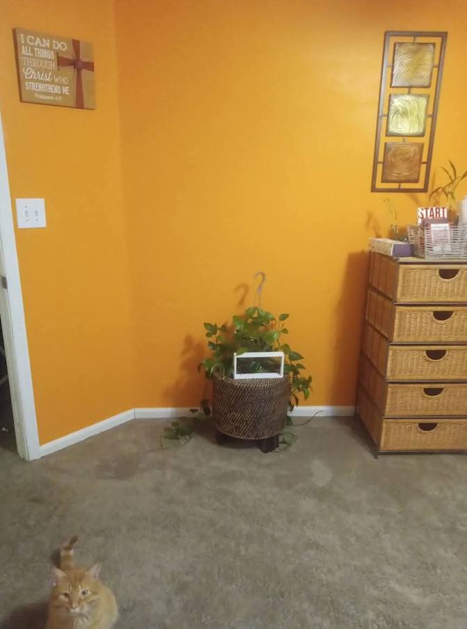 Camille's room